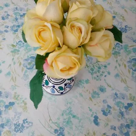 Appartamento Elena *